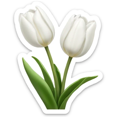 White tulips sticker