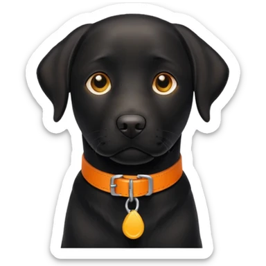 1 black labrador with yellow collar, 1 black labrador with orange collar sticker