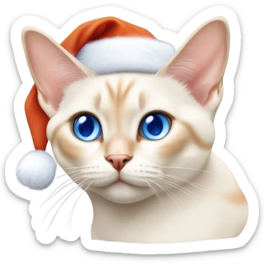 chubby flame point Siamese, white fur with orange accents and blue eyes wearing a red christmas hat  sticker