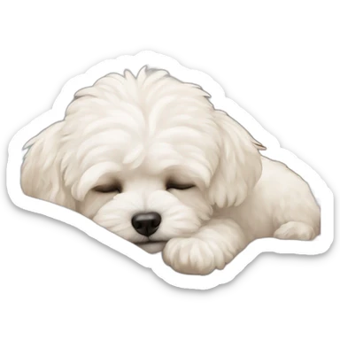 a white maltipoo sleeping in bed sticker