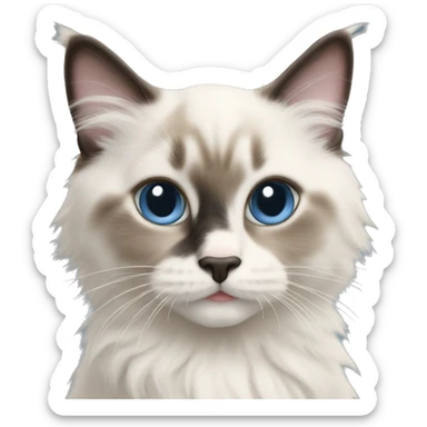Ragdoll kitten sticker