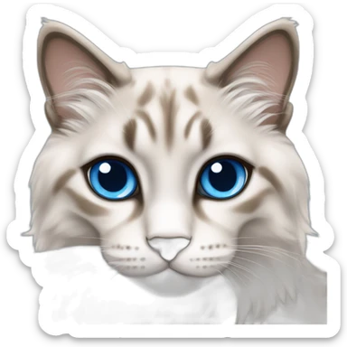 Lynx point ragdoll blue eyes sticker