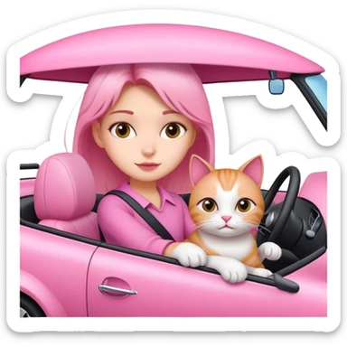 Girl driving a pink car with her cat sticker