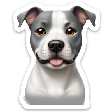Staffie chien une oreille blanche et l’autre gris  sticker