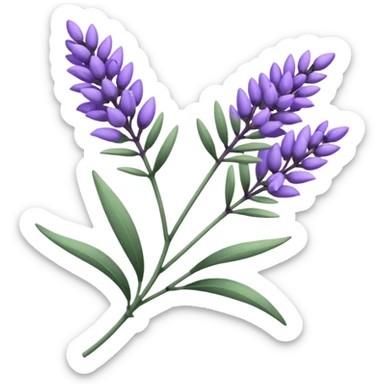 Lavender  sticker