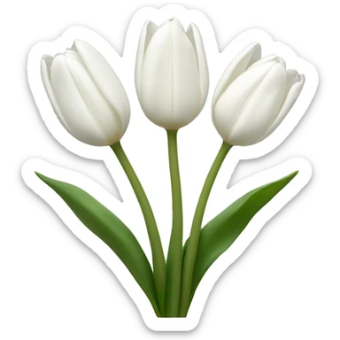 white tulips sticker