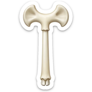 Femur sticker