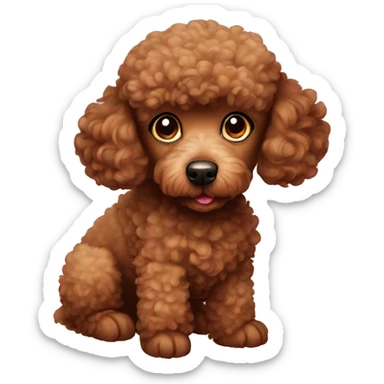 Cute brown poodle sticker