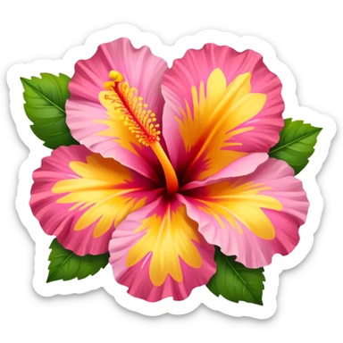 orange yellow and pink hibiscus flower inside a square  sticker