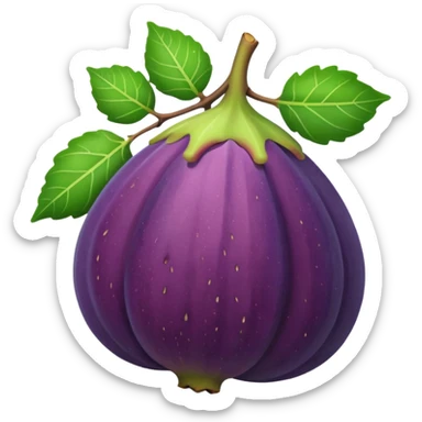 fig fruit sticker