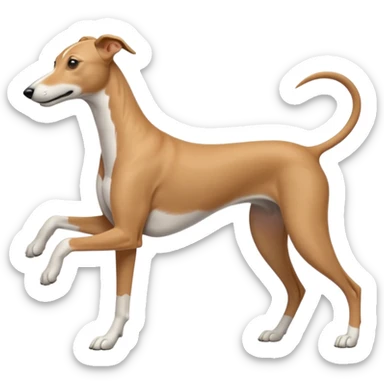Greyhound working sticker