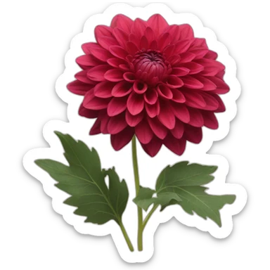 Dahlia red sticker