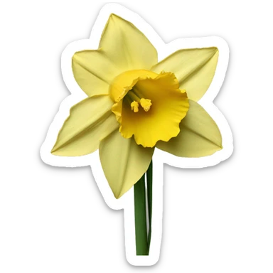 daffodil sticker