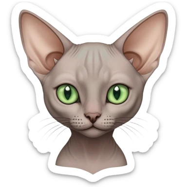 Grey, pixie sphinx cat with green eyes sticker