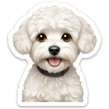 Maltipoo sticker
