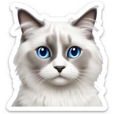 blue eyed white and grey ragdoll cat sitting sticker