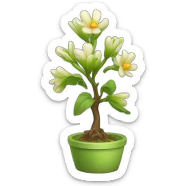 contracted spring sticker