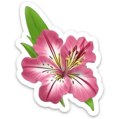 Alstroemeria sticker