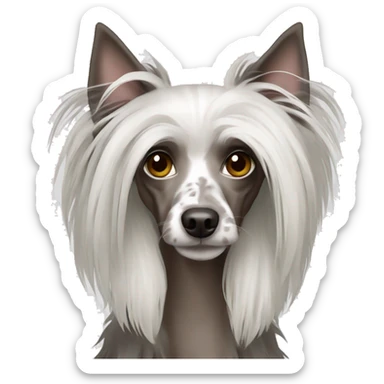 chinese crested dog sticker