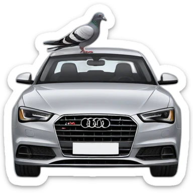 pigeon in audi car sticker