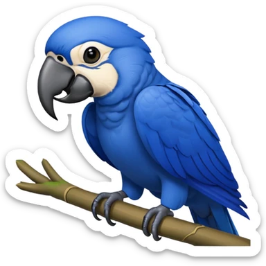 Hyacinth Macaw sticker