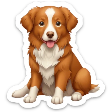 nova scotia duck tolling retriever sticker