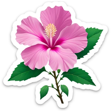Cinematic Realistic image of a Mugunghwa flower (Rose of Sharon), rendered with delicate petal textures and vibrant pink hues, set against a minimalist background with gentle, diffused lighting that highlights its national significance sticker