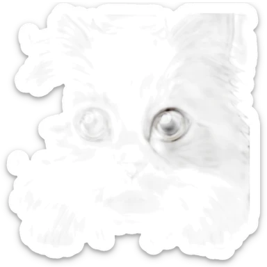 Brown fluffy fall Siberian kitten face sticker