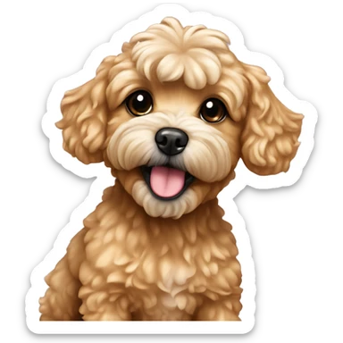 Caramel maltipoo is taking a shower  sticker