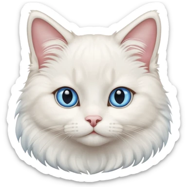 Cute White Ragdoll Cat With Blue Eyes sticker