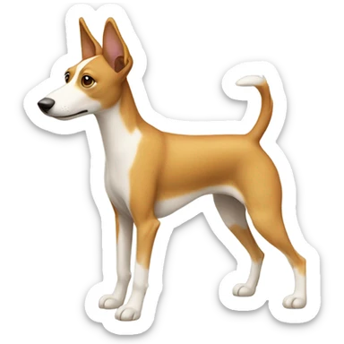 Portuguese podango dog  sticker