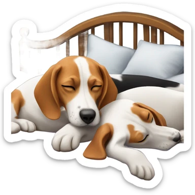 Three beagles laying in a bed surrounding a man who is asleep sticker