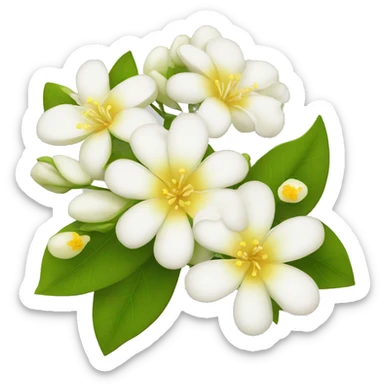 Apple Emoji Jasmine's flowers with white petals and a yellow center of stamens sticker