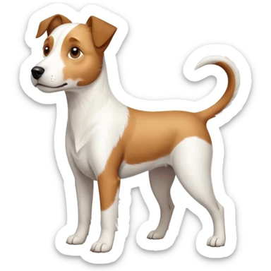 a full body large white parson russell terrier looking dog the size of a kelpie with light brown long ears and a light brown patch on one eye and a large snout sticker