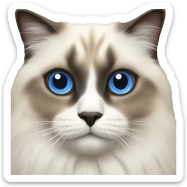 Sacred Birman cat  sticker