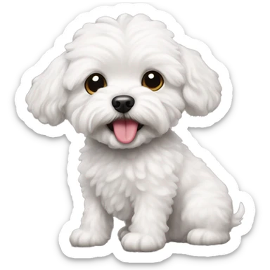 white maltipoo dog with tongue sticker