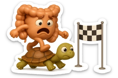  EMOJI STILE IPHONE 3D DI UN INTESTINO CON ESPRESSIONE ANGOSCIATA CHE CAMMINA SUL GUSCIO DI UNA TARTARUGA IN ATTESA ESTENUANTE DI RAGGIUNGERE UN TRAGUARDO POCO PIù AVANTI, SULLA LORO DESTRA. IL TRAGUARDO è UNA BANDIERA A DUE PIEDI CON FASCIA A SCACCHI BIANCHI E NERI. iperrealistico 4k sticker