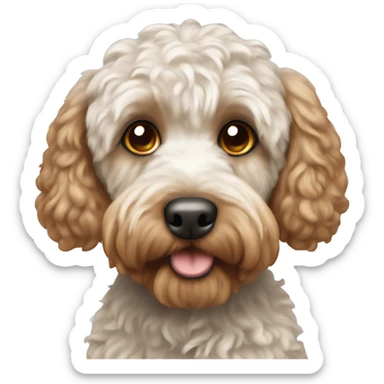 cockapoo  sticker