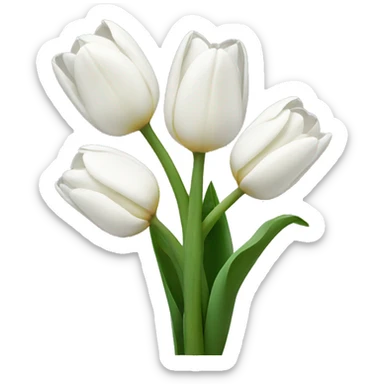 White tulips sticker