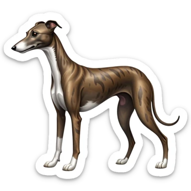cinematic-[brindle greyhound]-realistic-full-body-standing-emoji,-tail-resting-loosely-beside-its-paws,-head-tilted-dramatically, -sleek-[dark brindle]-fur,-simplified-yet-realistic-focused-features,-highly-detailed,-glowing-with-an-almost-sarcastic-glow sticker