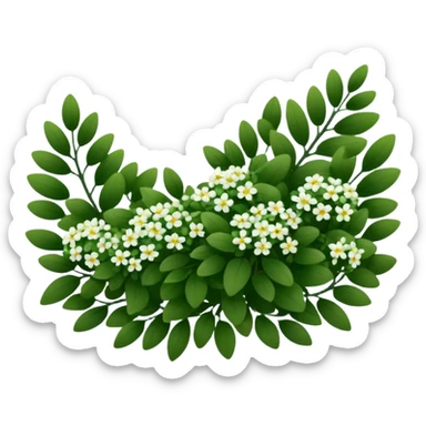 A dense bush with dark leaves and a curved organic shape with small white flower sticker