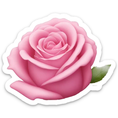 Pink rose sticker