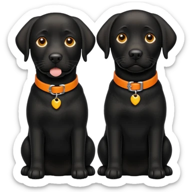2 black labradors, yellow collar and orange collar sticker