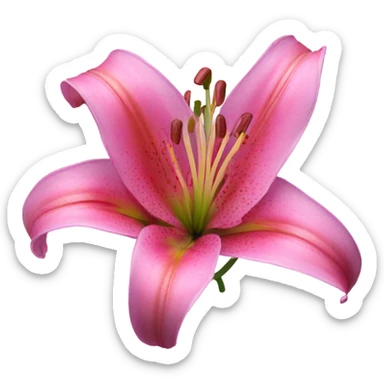 Pink lily flower sticker