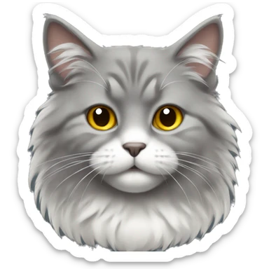 gray very fluffy cat with a white chest and nose sticker