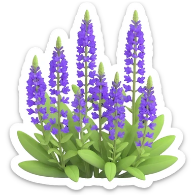 3D iOS cartoon style Salvia nemorosa with large purple flower clusters, lush green foliage, bright colors, soft shapes, volumetric, transparent background sticker