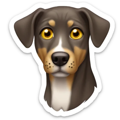 Solid Brown Catahoula leopard dog with white chest hair and yellow eyes sticker