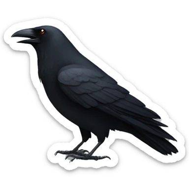Crow sticker