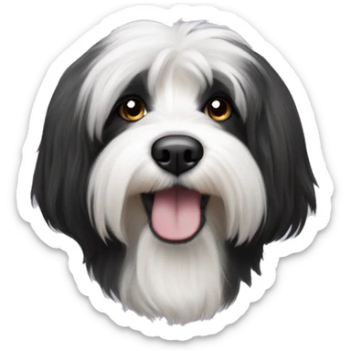 A Hairy black and white tibetan terrier sticker