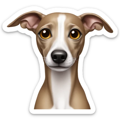 Italian greyhound  sticker